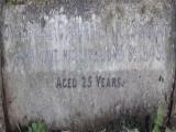 image of grave number 595116